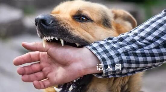 狂犬病潛伏期十幾年?專家辟謠