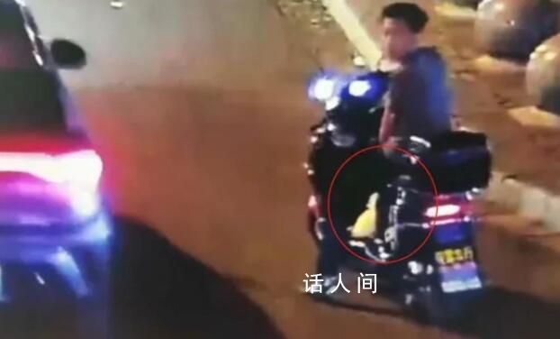 男子抓柯爾鴨當肉鴨吃賠了8千元 寵物主人找上門