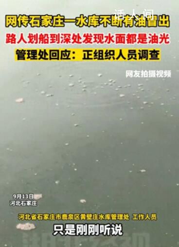 網傳石家莊一水庫不斷有油冒出 具體原因不明