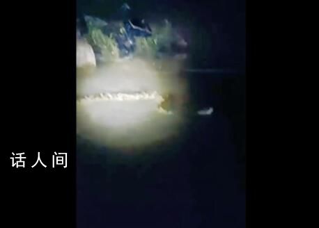 官方辟謠“河中發現巨型長蟲” 當事人已承認視頻造假