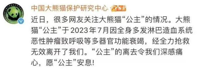 大熊貓“公主”和“融融”已離世 多器官功能衰竭
