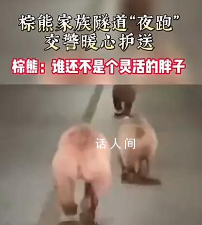 新疆3頭棕熊在隧道里夜跑 警方提醒：棕熊具有攻擊性請勿靠近