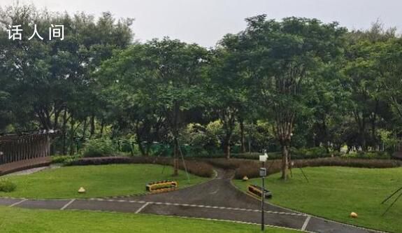 曝深圳一綠道網紅景點建完封閉三年 養而不開是否造成資源浪費