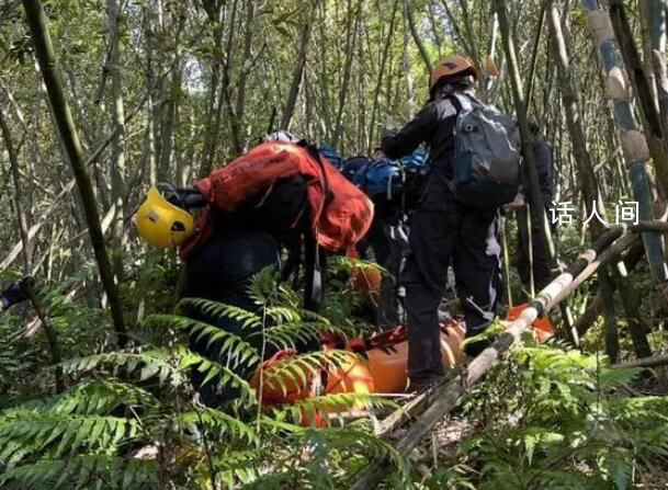 臺(tái)灣一登山團(tuán)遭蜂群攻擊2死9傷 消防局獲報(bào)前往救護(hù)4名消防人員也被螫傷