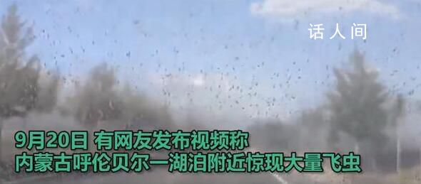 呼倫貝爾一地現(xiàn)大量飛蟲 全國還有多起不同蟲類的肆虐事件