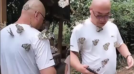 男版香妃 游客引來(lái)蝴蝶落滿身