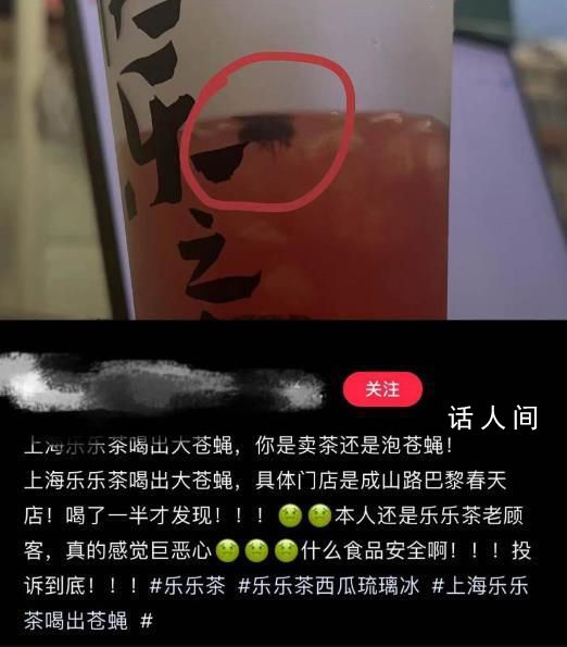 樂樂茶喝出蒼蠅被罰5000元 店家向顧客道歉