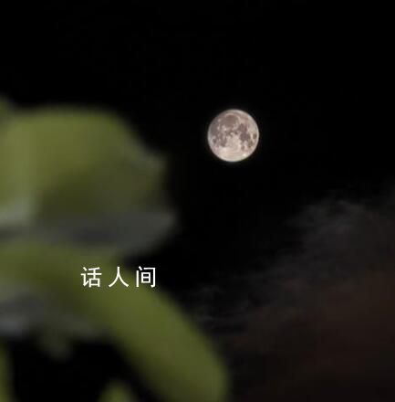 各地網友曬明月堪比攝影大賽 中秋夜恰逢今年第三大滿月上演了超級月亮