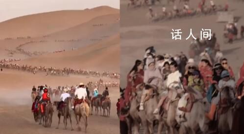 敦煌又雙叒叕堵駱駝了 網友：走出了絲綢之路既視感