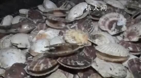 日官員呼吁民眾每人多吃5只扇貝 日本網民：扇貝價格太高買不起