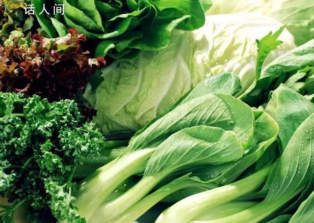 葉菜放冰箱24小時會致癌?生的葉菜冰箱能放幾天