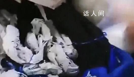 校服內掏出大把碎布?校方:謠言