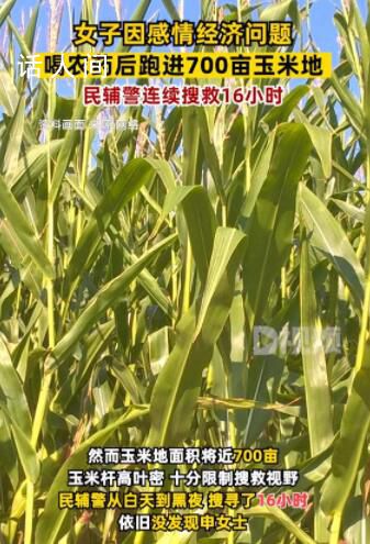 女子因感情問題喝農藥后跑進玉米地 民警搜救16小時