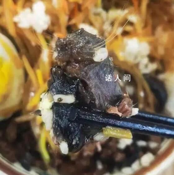 市監局介入調查高校食堂鼠頭事件 涉事公司還負責多個學校食堂