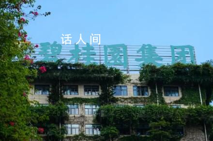 碧桂園宣告啟動境外債重組 涉及本金約93億美元