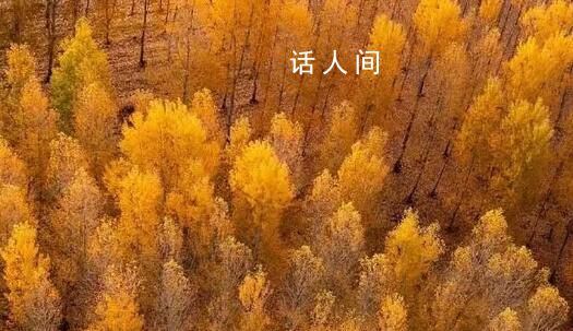 用中國傳統(tǒng)色打開秋天 秋天的中國有多驚艷