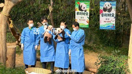 福寶妹妹們叫睿寶輝寶 祝寶寶們健康成長