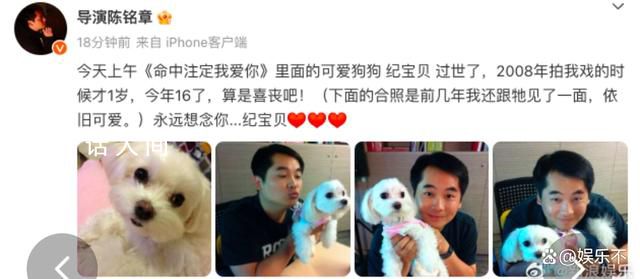 《命中注定我愛你》中的紀寶貝去世 紀寶貝回到汪星也要幸福哦