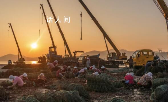 核污水排海后的生蠔養殖者 有人提前賣掉有人投入百萬