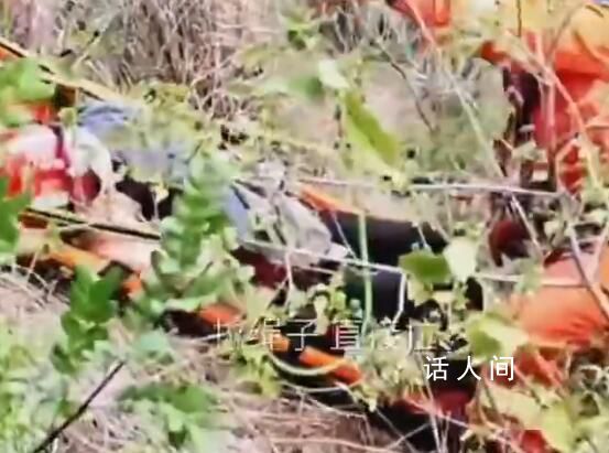 丈夫為救墜崖昏迷妻子自己也被困 救援人員做好防護后立即分三組展開營救