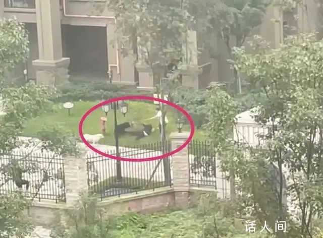 央媒評女童被咬:狗主人須繩之以法