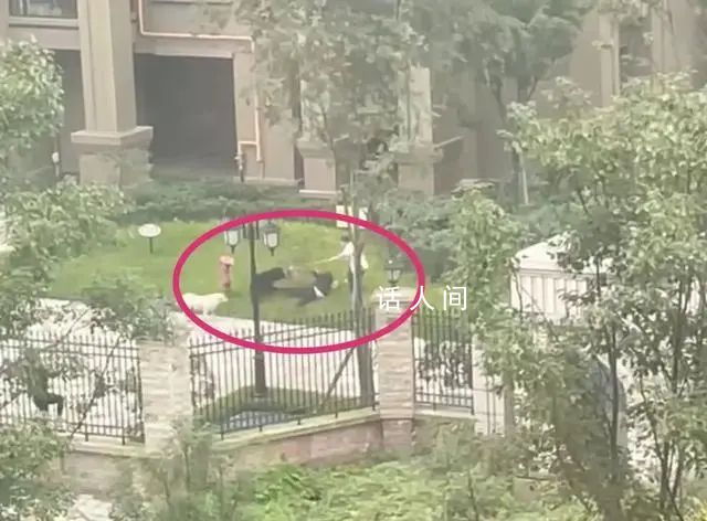 央媒:女童被咬有六大疑問需要解答