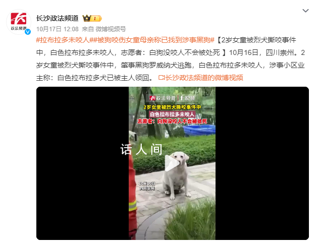 狗咬女童事件:白狗未咬人已被領回