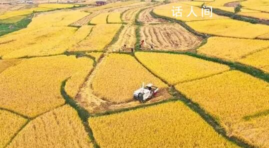 豐收的顏色你見過嗎?一起體驗驚艷大地的豐收色彩