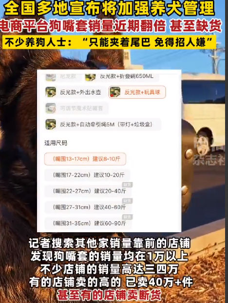 狗嘴套銷量近期倍增 部分店鋪賣斷貨