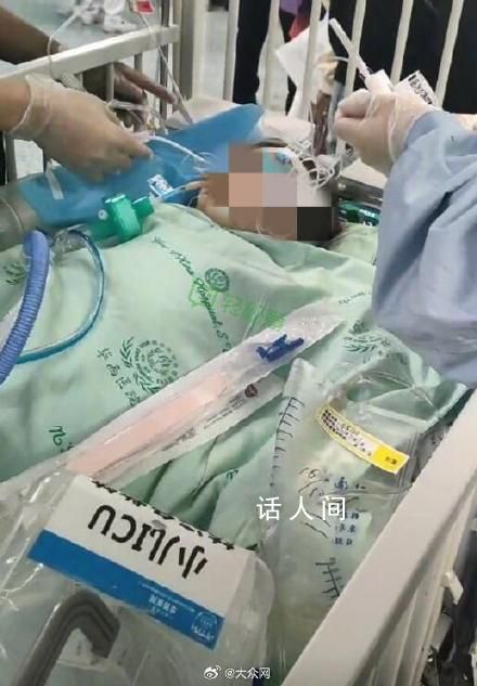 專家談狗咬女童事件:不應(yīng)搞株連