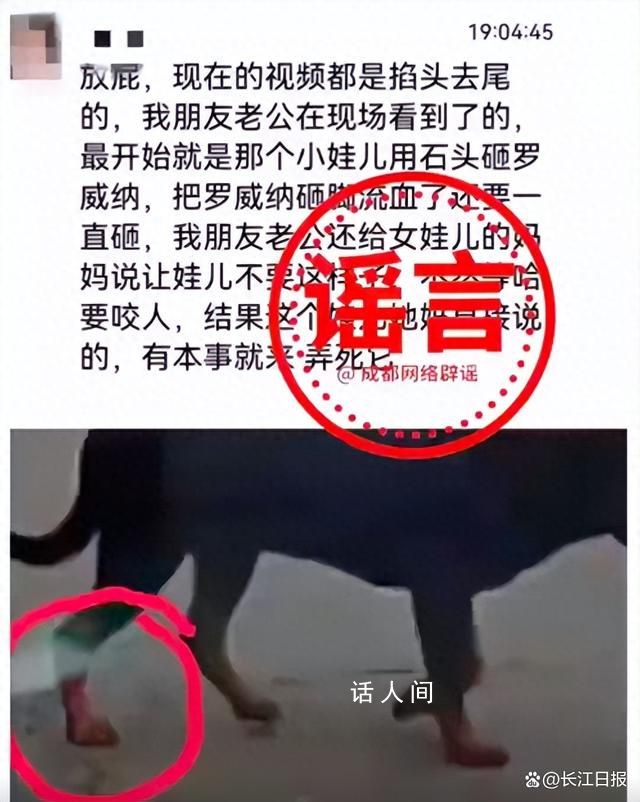 成都警方辟謠被咬女童4大謠言 女童及其母親未有攻擊黑狗行為