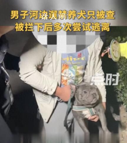 官方辟謠鄭州法斗主人被罰5千 稱還在走程序