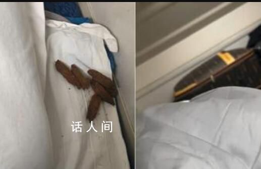 男子在臥鋪發現“排泄物”樣異物 該旅客隨后再次確認又疑似檳榔