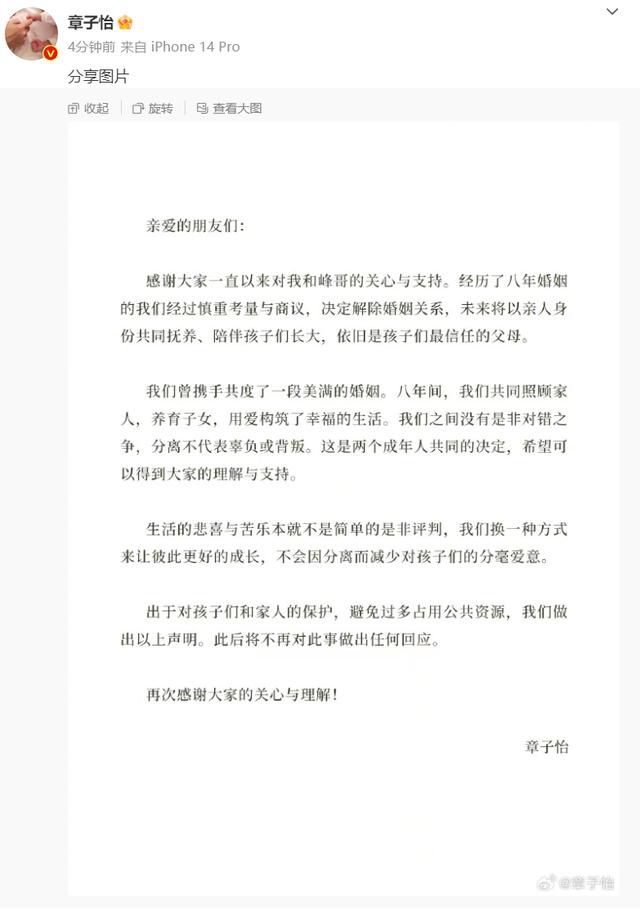 汪峰章子怡婚姻曾遭質疑 章子怡汪峰微博發布消息宣布離婚