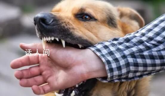 狂犬病潛伏期長達十幾年?別信