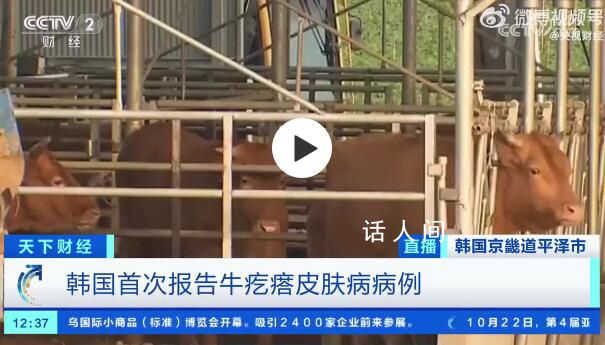 韓國確診多例牛疙瘩皮膚病病例 引發了韓國社會的高度關注