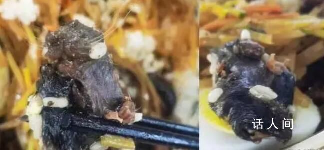 涉鼠頭事件兩地政府被約談 環環相扣壓實校園食品安全責任