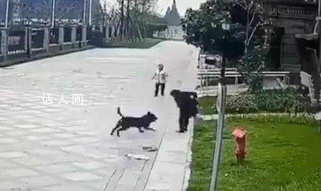 成都被狗咬傷女童轉(zhuǎn)出ICU 目前女童生命體征平穩(wěn)