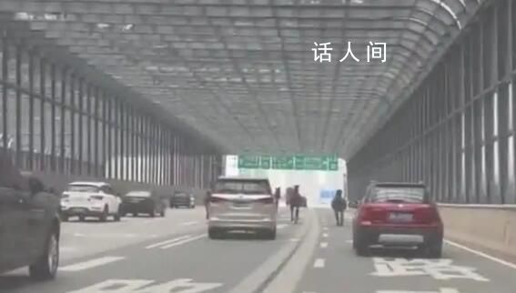 長沙5匹馬上高架車道狂奔 目前已經處理好