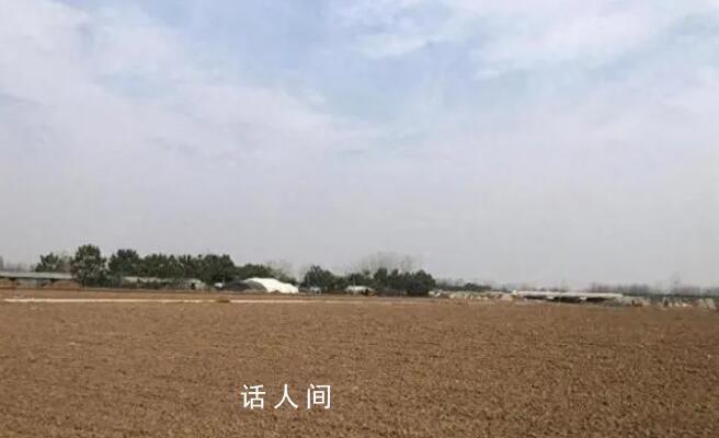 被卷入旋耕機老太生前為人和善 聽說花生已收完還剩些可以撿