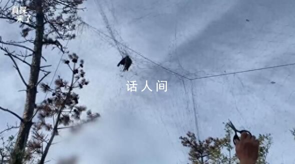 國家級(jí)保護(hù)區(qū)山上遍布捕鳥網(wǎng) 全面開展集中清理整治非法獵捕候鳥行動(dòng)