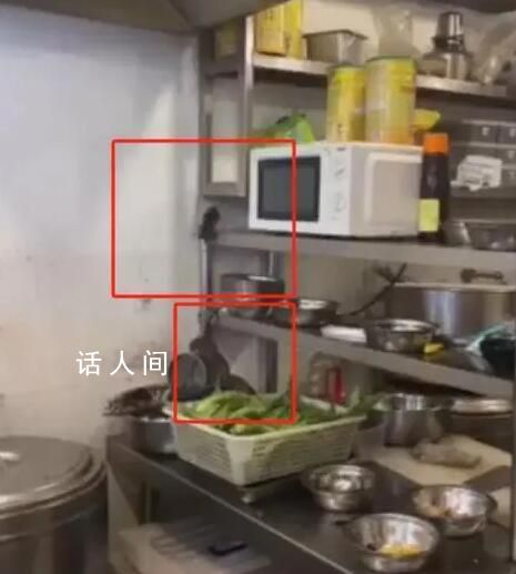 螺螄粉店后廚老鼠亂竄?市監局通報