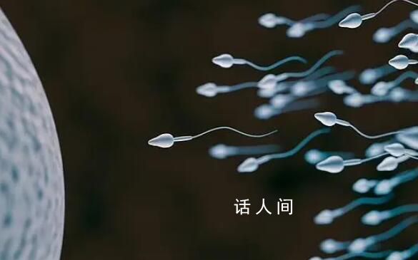 科學家:精子運動違背牛頓第三定律