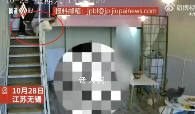 小孩在貓咖被嚇哭父親將貓踹下樓 事件引發熱議