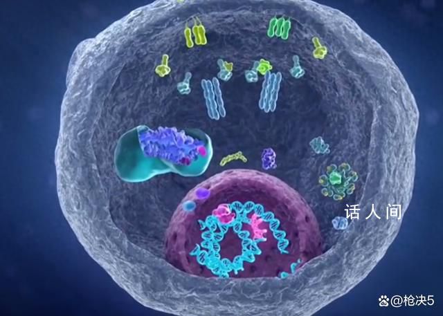 科學(xué)家找到癌細(xì)胞的生死開關(guān) 可激活釋放自毀信號