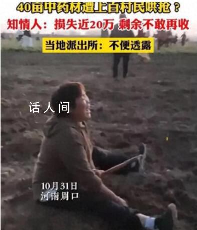 上百村民哄搶藥材 承包戶坐地大哭