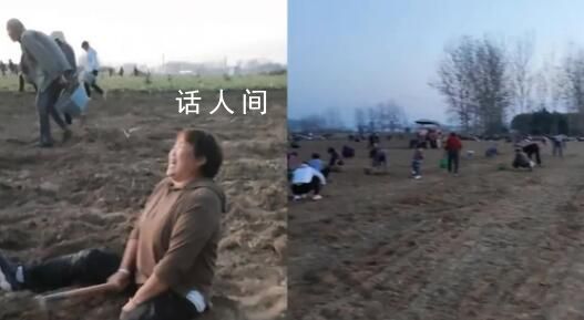 媒體評哄搶藥材:法不責眾不是借口