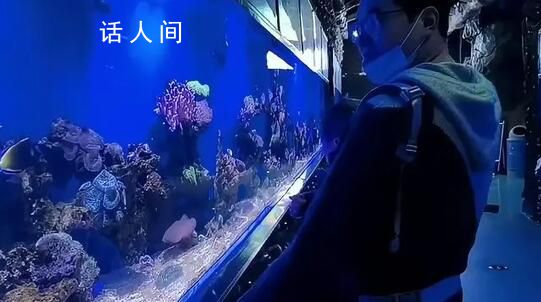 小伙在自家?guī)锝êＱ箴^隱居6年 有愛好的人生活才不會(huì)空虛