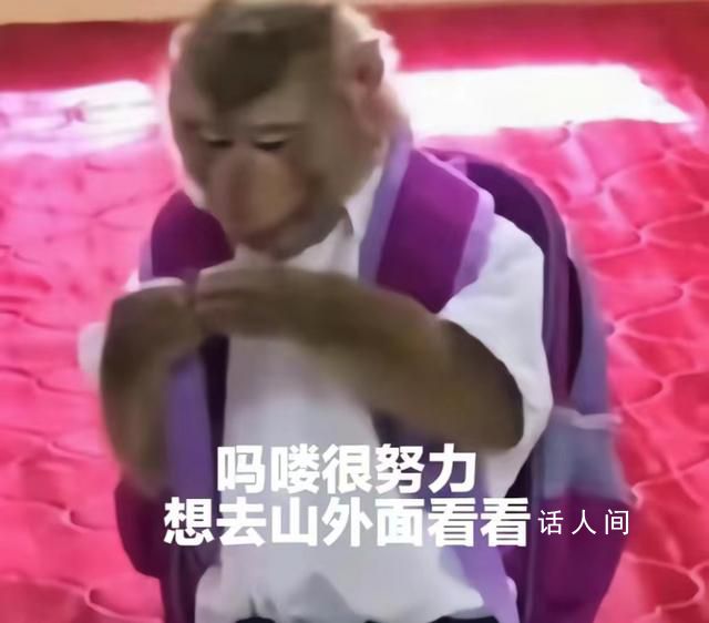 “嗎嘍”占領(lǐng)了年輕人的生活圈 嗎嘍風(fēng)潮仿佛一夜之間席卷網(wǎng)絡(luò)