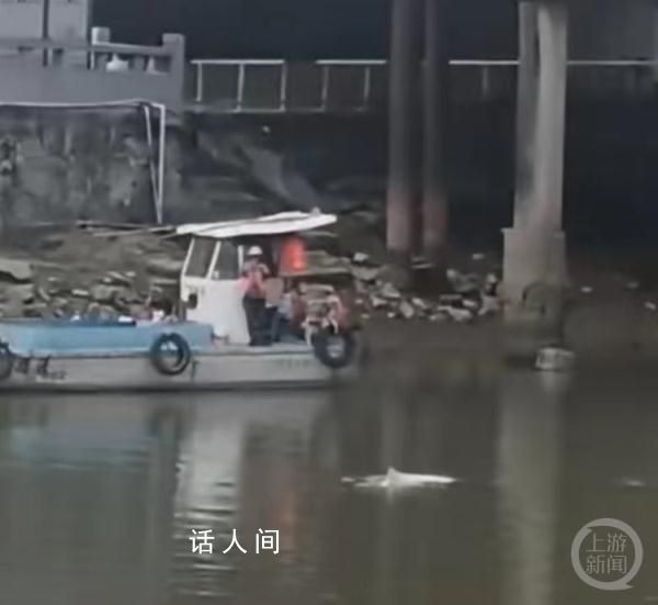 中華白海豚誤入廣州一河道 呼吁廣大市民共同支持配合做好保護工作